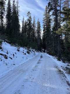 Road 430, Deschutes, Oregon, United States - eBird Hotspot