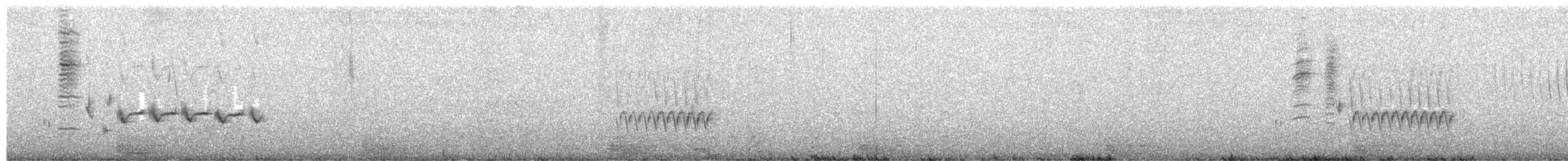 Grass Wren - ML649355248