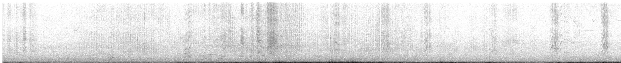 brunstrupeparakitt - ML649358483