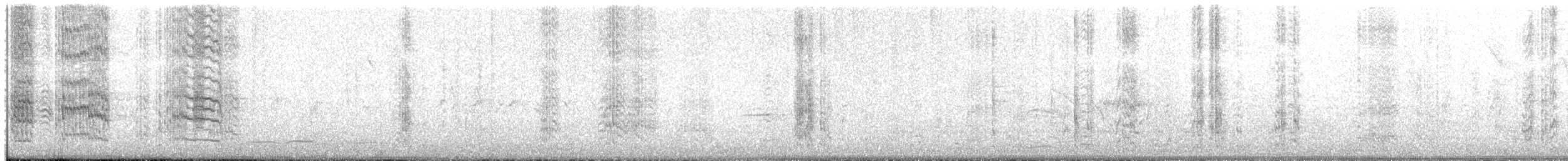 brunstrupeparakitt - ML649358561