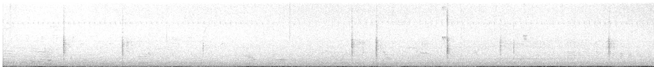 sørgetrupial - ML649359195