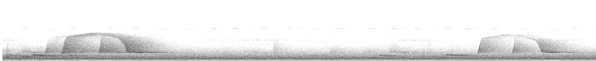 Variegated Antpitta - ML649359923