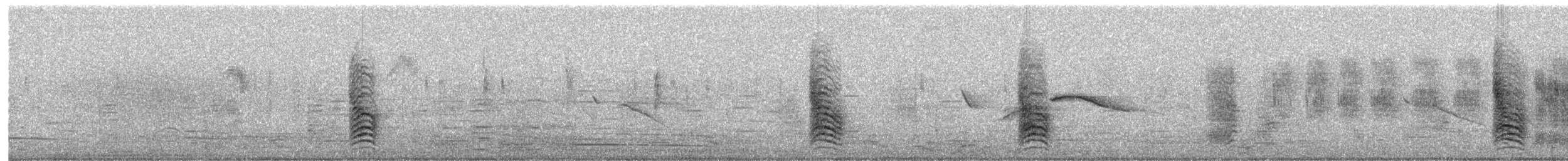 Black-vented Oriole - ML649364905