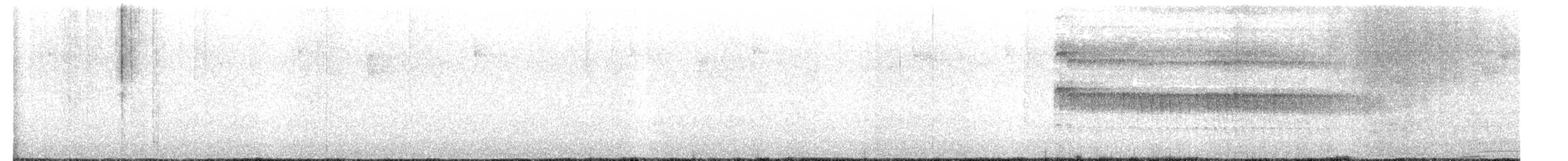 strakapoud americký - ML649366944