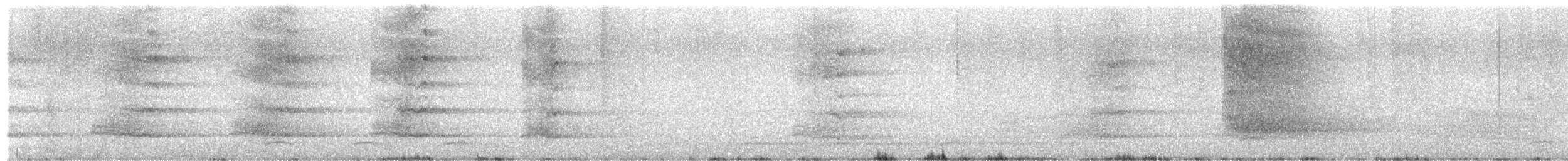 Eastern Barn Owl - ML649367280