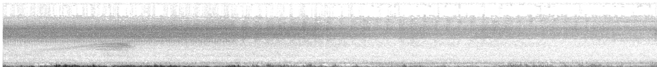 Shining Flycatcher - ML649367306