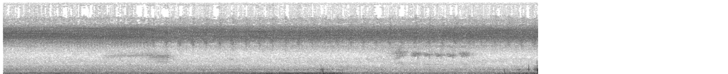 Shining Flycatcher - ML649367425