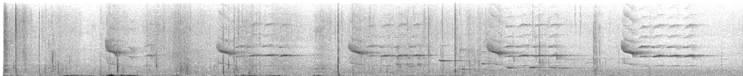 South Island Saddleback - ML649367479