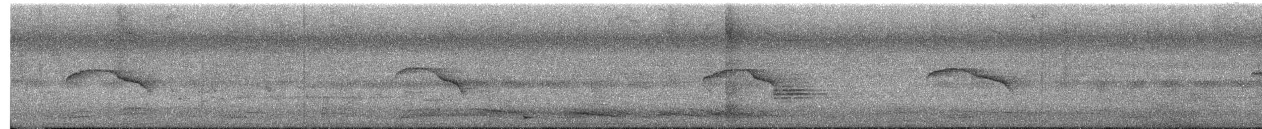 Dajalschama - ML649367559