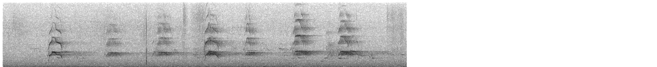 Variable Oystercatcher - ML649367599