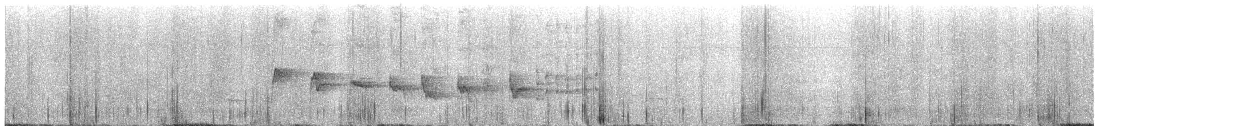 South Island Saddleback - ML649367719