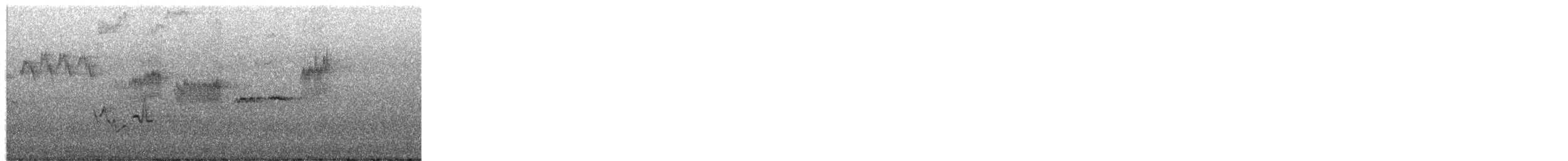 Black-throated Green Warbler - ML649367815