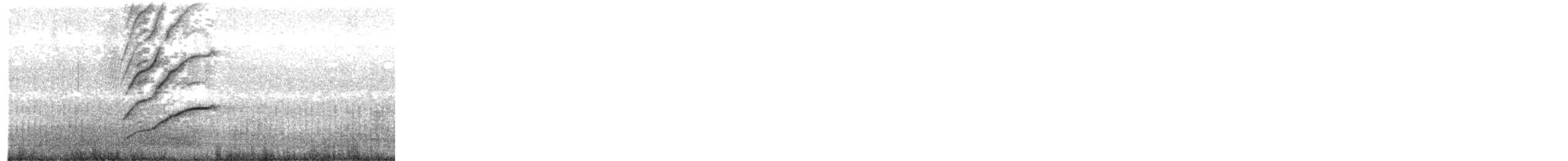 vlhovec velkoocasý - ML649373548