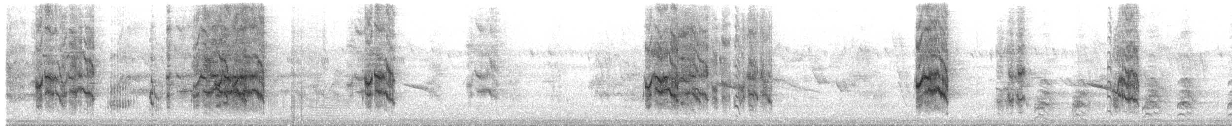 Green-cheeked Parakeet - ML649374596