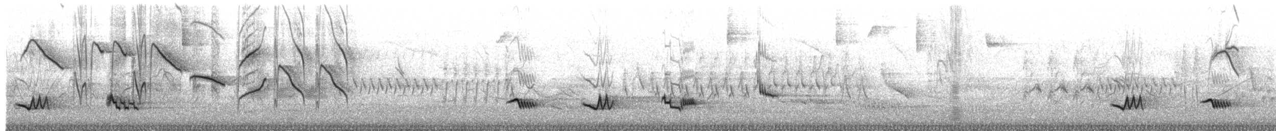 Creamy-bellied Thrush - ML649375383