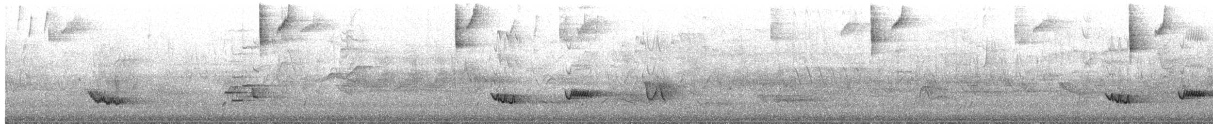 Creamy-bellied Thrush - ML649375454