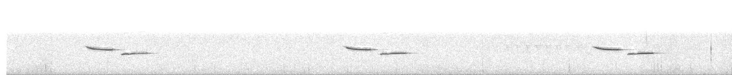 アメリカコガラ - ML64937611