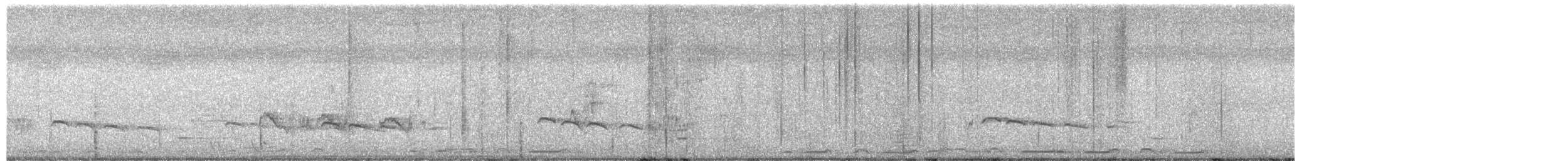 Карликовая кукушка - ML649376128