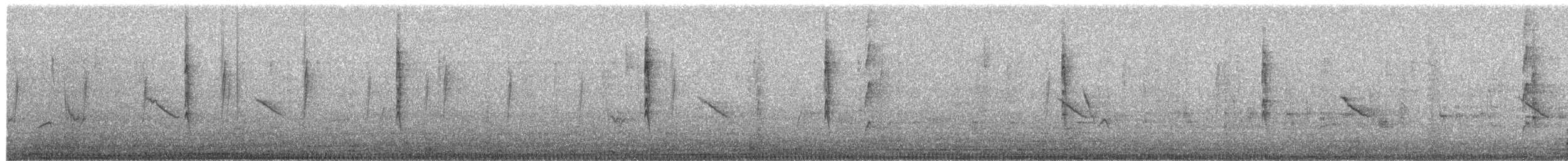 ウィルソンアメリカムシクイ - ML649377505