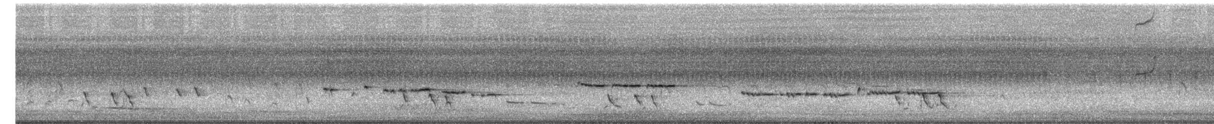 Желтогрудый радужник - ML649378147