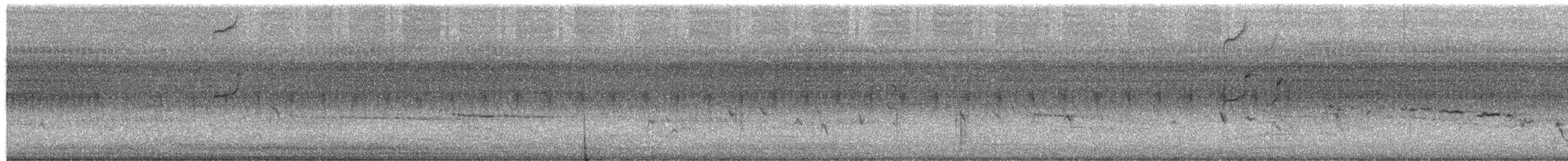 Изменчивая сителла (leucocephala) - ML649378153