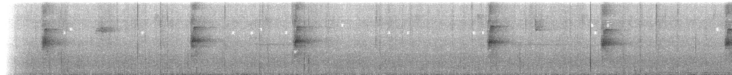 Светлогорлый тенелюб - ML649378803