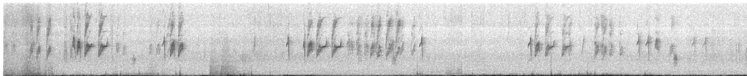 Бурая сутора - ML649379112