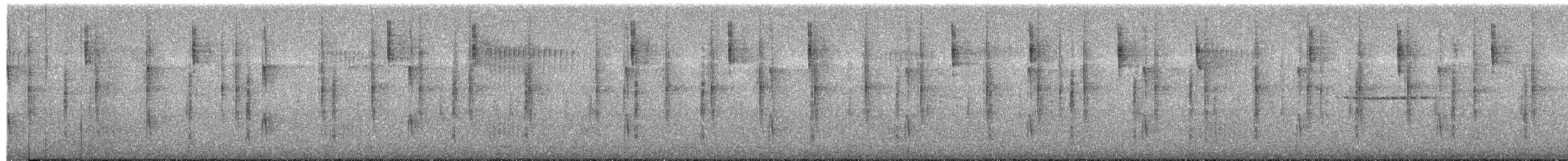 Тайваньская пестрогрудка - ML649379341