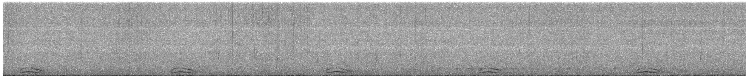 Ожереловая совка - ML649379379