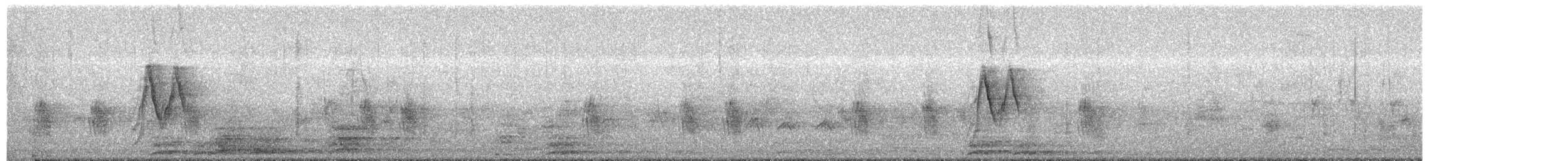 Белая трясогузка (leucopsis) - ML649379440