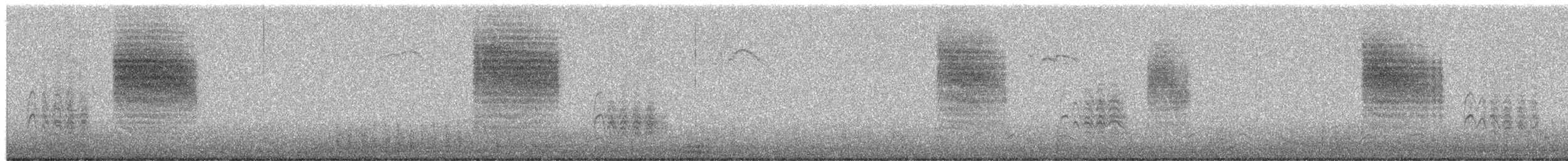 Калифорнийская комароловка - ML649379978