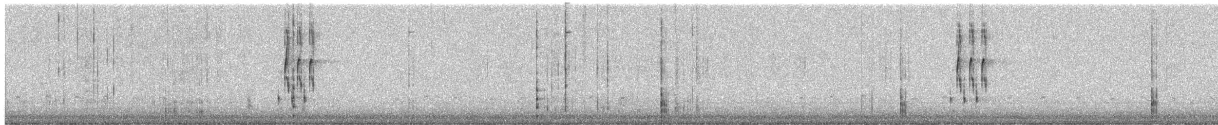 Американский сорокопут - ML649380021