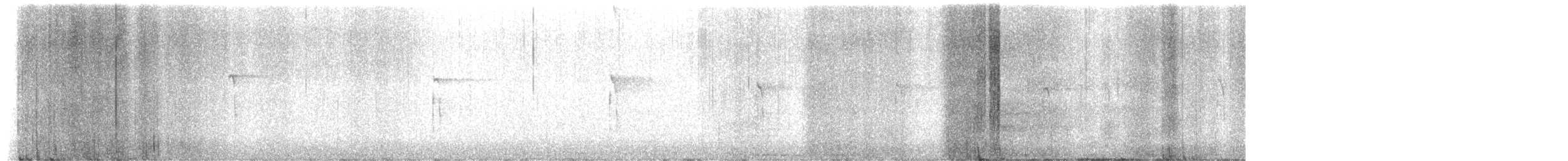 strakapoud americký - ML649383177