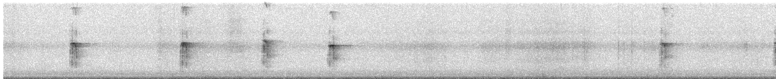 strakapoud americký - ML649391853