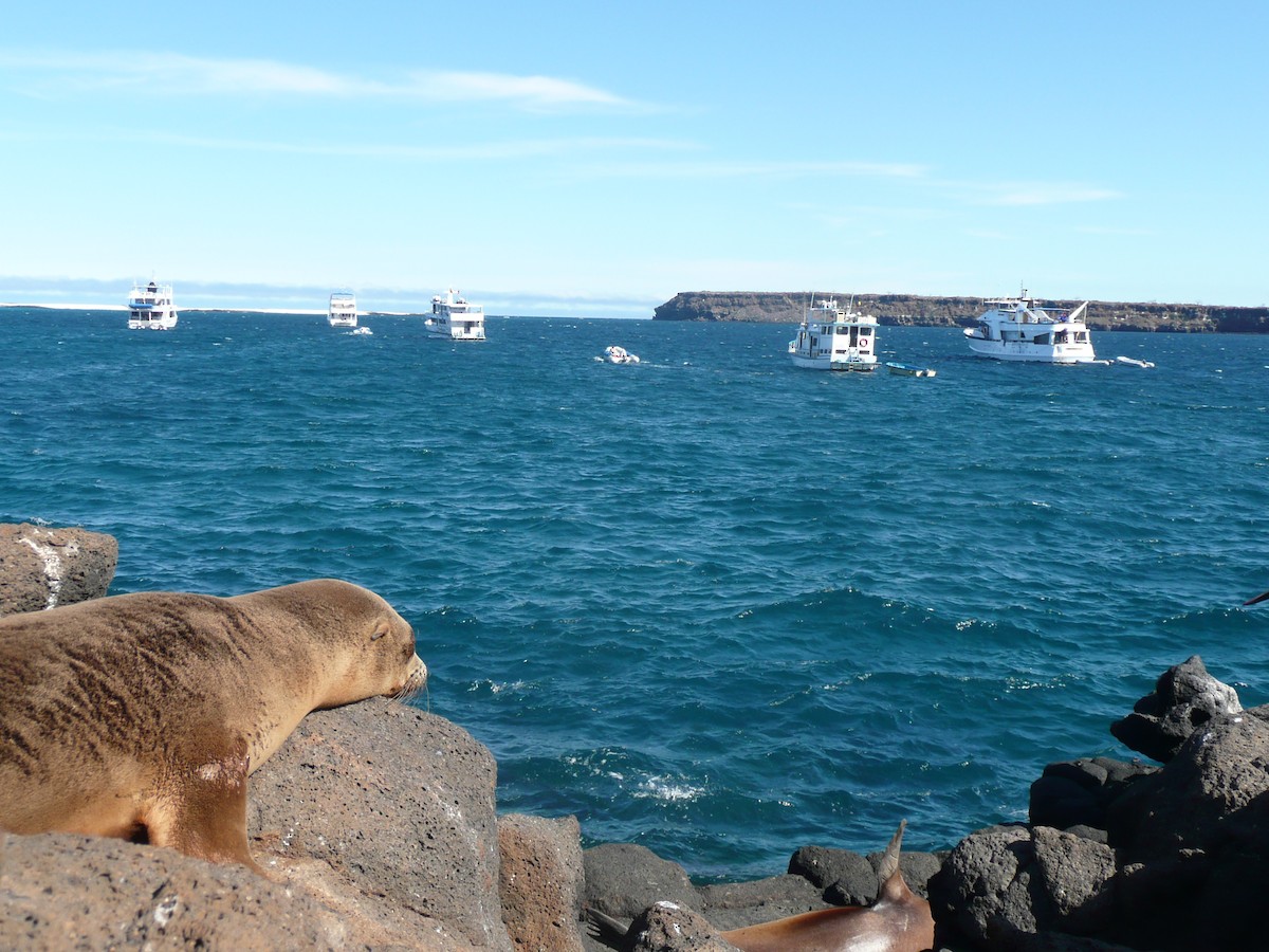 Not specified - Carlos Davies