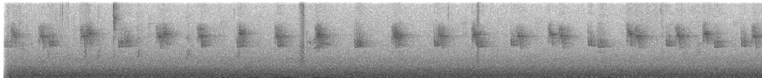 kolibřík modrouchý - ML649397313