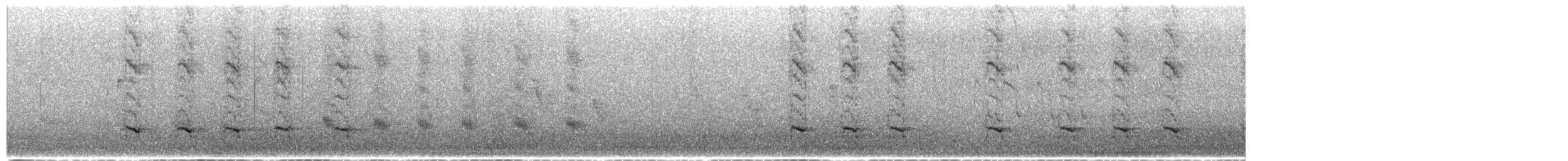 Boat-tailed Grackle - ML649397420