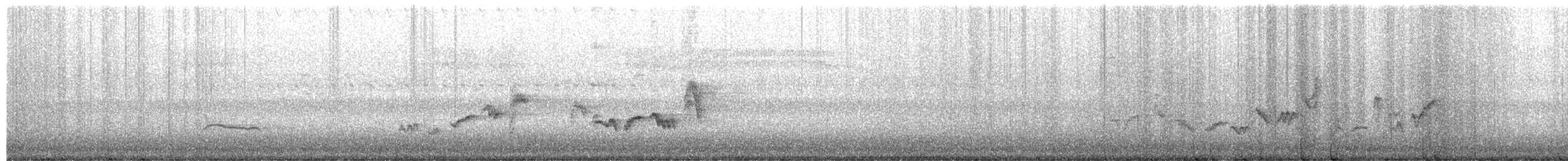 Sängervireo - ML649397428