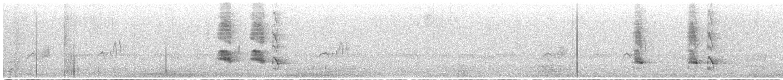 Boat-tailed Grackle - ML649397538