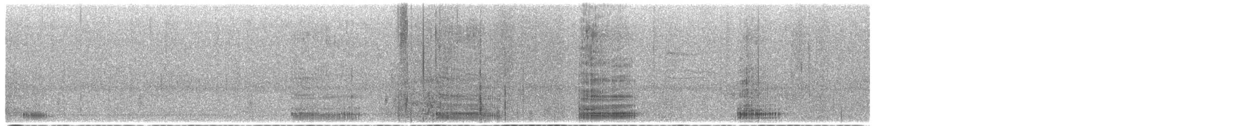 Koartza zuria - ML649397555