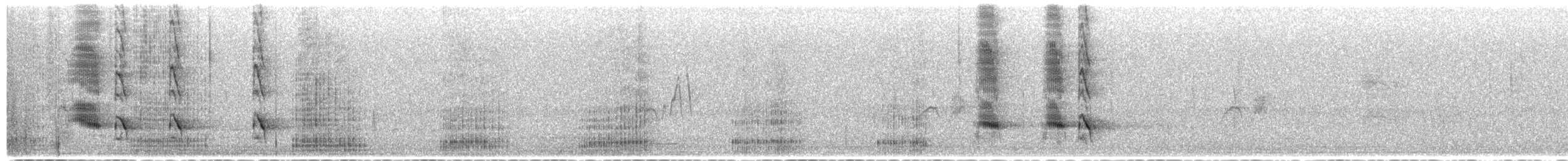 Boat-tailed Grackle - ML649397568