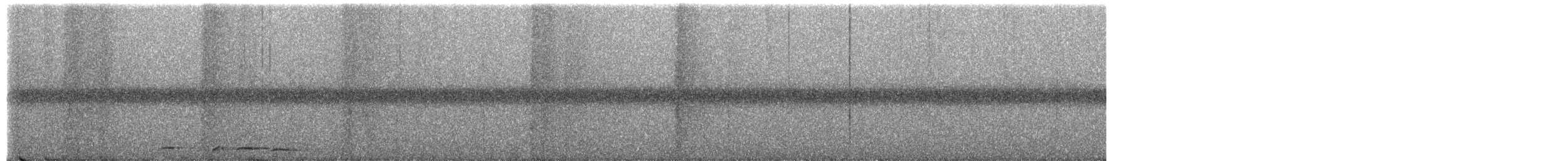 holub vínový - ML649397654