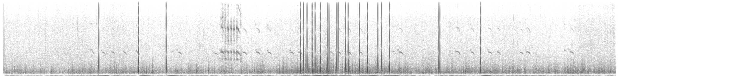 Txenada handi amerikarra - ML649397819