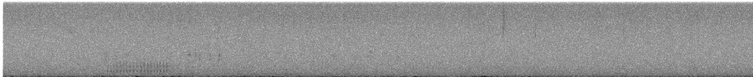 Ladder-backed Woodpecker - ML649398461