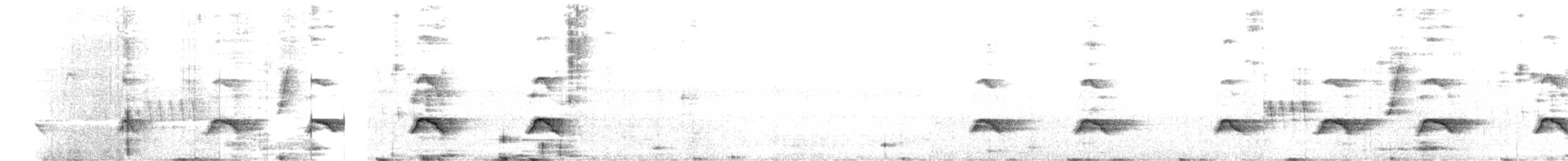 orel zdobený - ML649398598