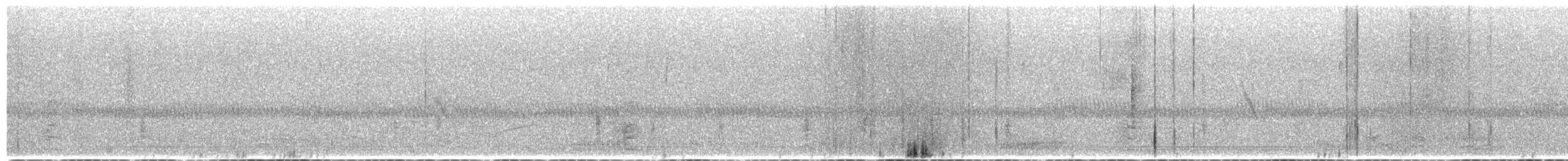 Hegaztia sp. - ML649399068