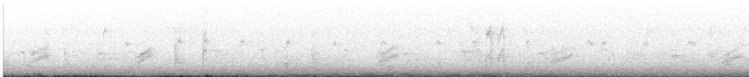 Spotted Towhee - ML649402198