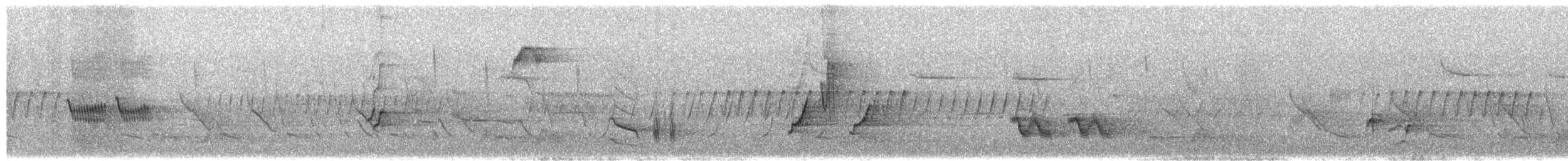 チャイロツグミモドキ - ML649406837