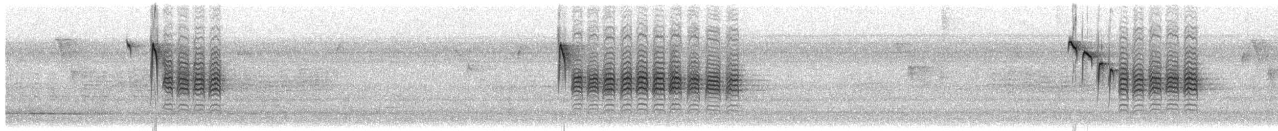 Carbonero de Carolina - ML649408979