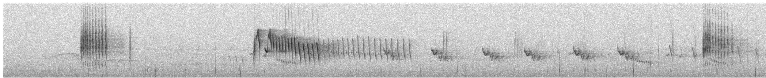 Dusky Sunbird - ML649410754